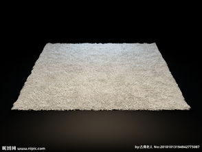 精品地毯3D模型图片